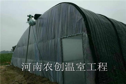 舞鋼日光溫室大棚造價與周到服務(wù)全面解析