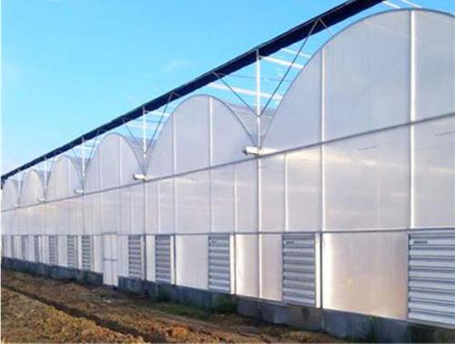 簡易連棟薄膜溫室大棚的優(yōu)勢與安裝服務(wù)全解析